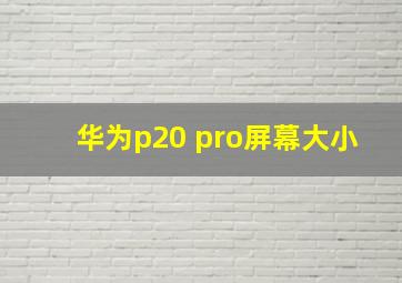 华为p20 pro屏幕大小